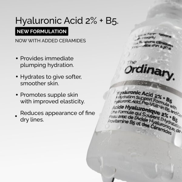 The Ordinary Hyaluronic Acid 2% + B5 30ml - Image 2